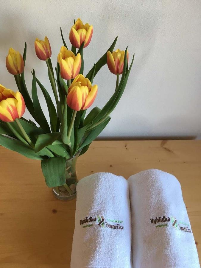 Horsky Apartman Vyhlidka Rejviz Zlaté Hory Extérieur photo